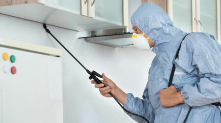 6 factors to consider before selecting a pest control company