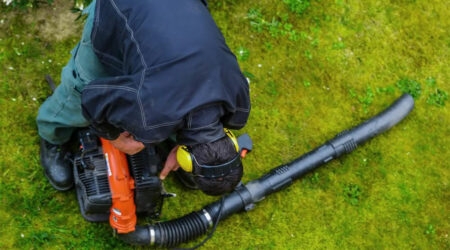 How to choose the right leaf blower for your garden