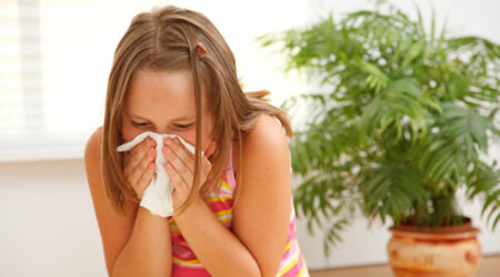 Tips to prevent allergies from three primary sources