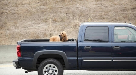 Types of truck bed covers