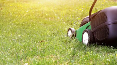 Your guide to choosing an ideal lawn mower