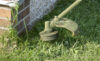 Avoid the growth of weeds using these simple steps